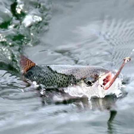 Castro Apartmán Nuévalos