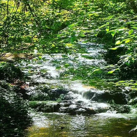 Apartmán Castro Nuévalos