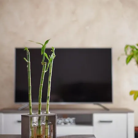 Апартаменты Castro