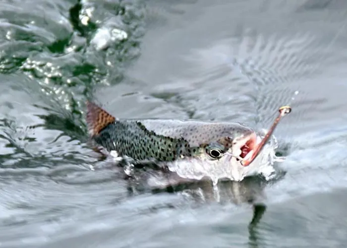 Castro Lägenhet Nuévalos