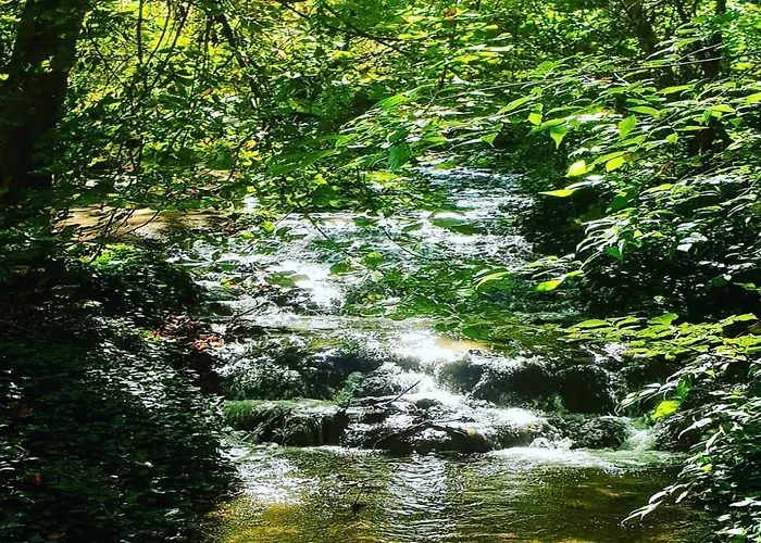 Lägenhet Castro Nuévalos